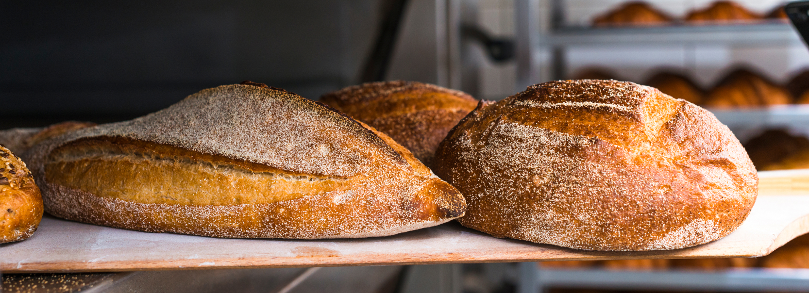 pane-forno-anticamacina